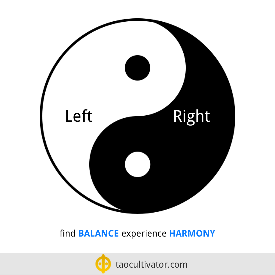balance and harmony - left and right