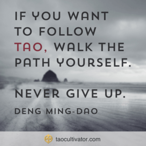 follow the tao
