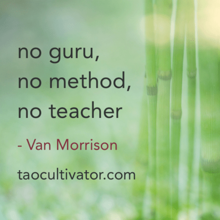 No guru no method no teacher Van Morrison