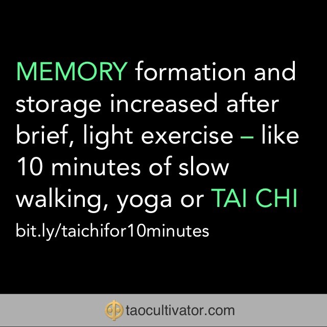 memory formation and taiji