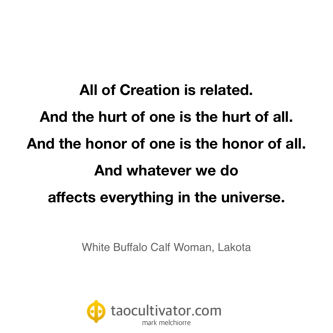 Meme: All of Creation is related. And the hurt of one is the hurt of all. And the honor of one is the honor of all. And whatever we do affects everything in the universe.